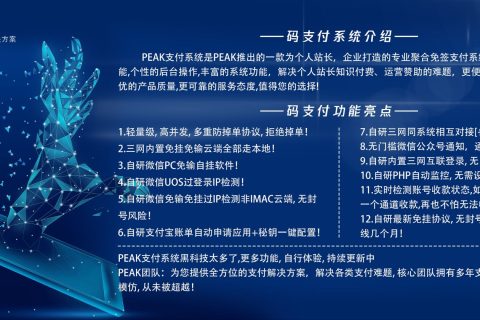 码支付性能平台全面解析